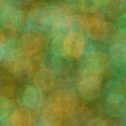 Bokeh-481